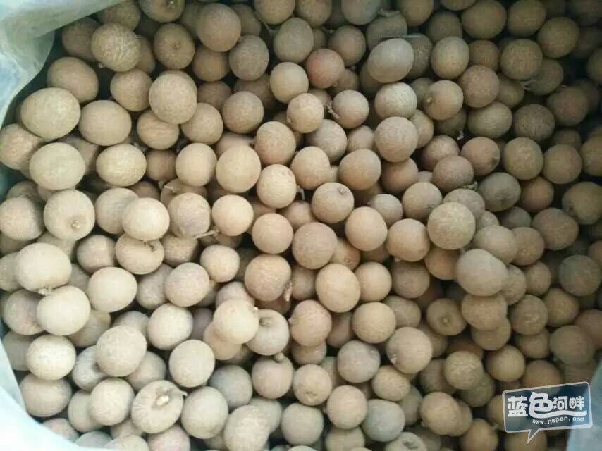 QQ图片20150929104514.jpg