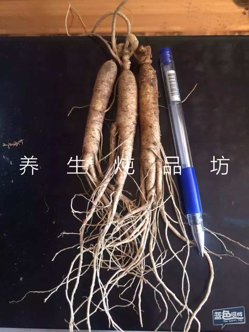 psb (22) - 副本 - 副本.jpg