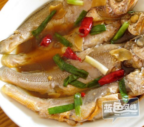 小黄鱼1.jpg