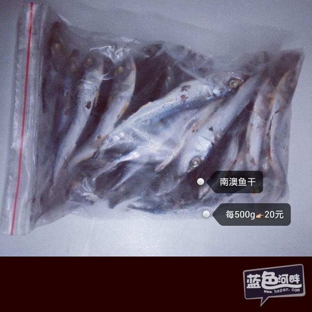 自家晒制鱼干（巴浪鱼干）有嚼劲，有韧性。吃起来很惹味道。送酒菜或者配粥喝（500g）一斤20元 ... ... ...