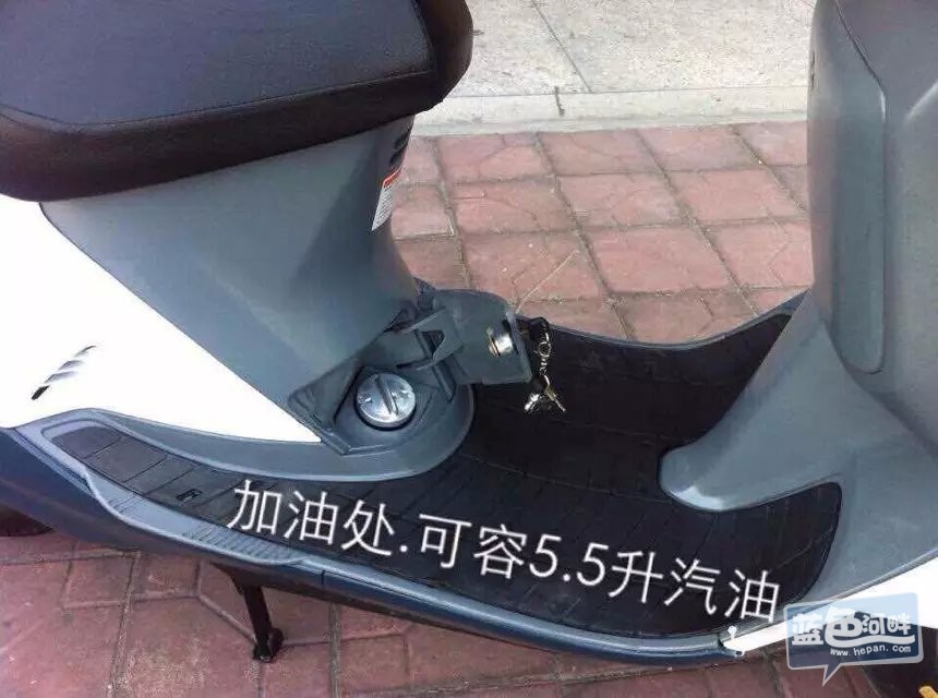 cvxvcxv.jpg