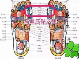 QQ图片20151126144619.jpg