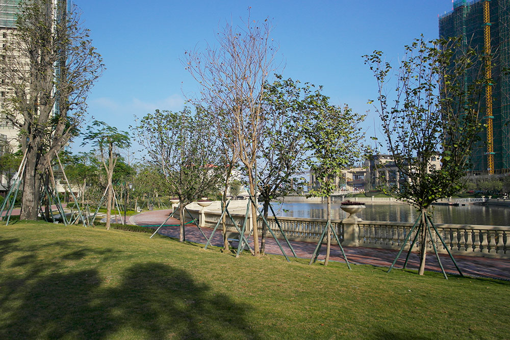 东海岸10.jpg