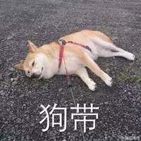 a0a4685a7fa7d4905d7d724b037abd71.jpg