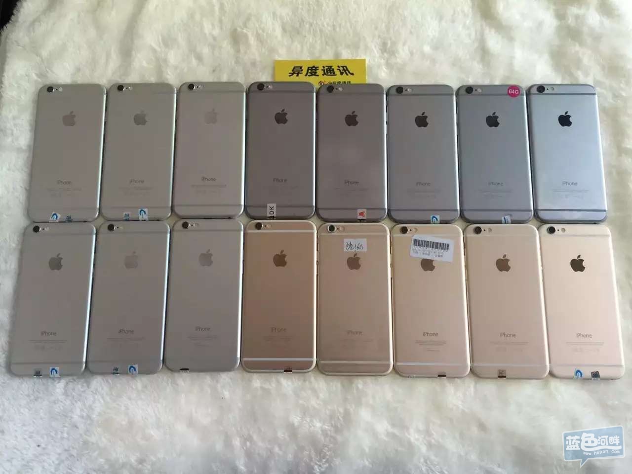 881598176028888574.jpg