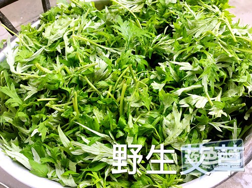 IMG_2002_副本.jpg