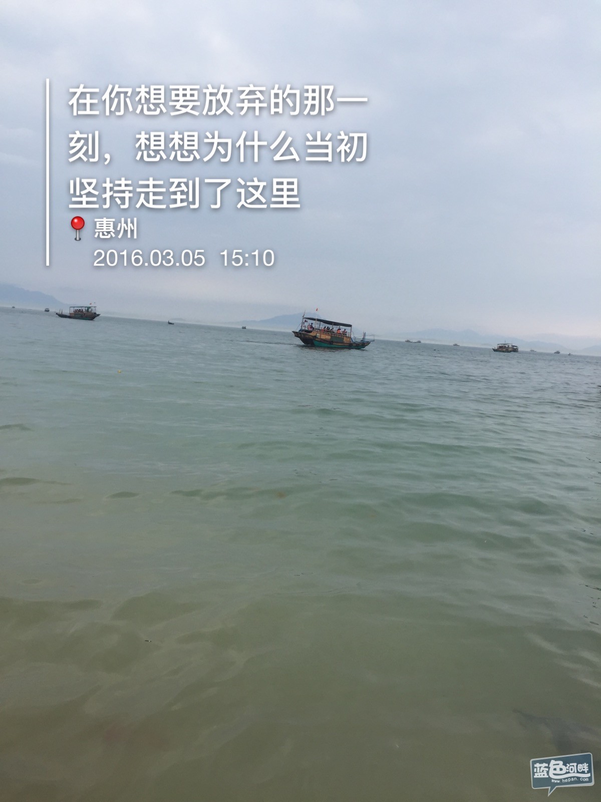 IMG_7979.JPG