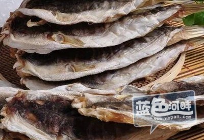 河豚干.jpg