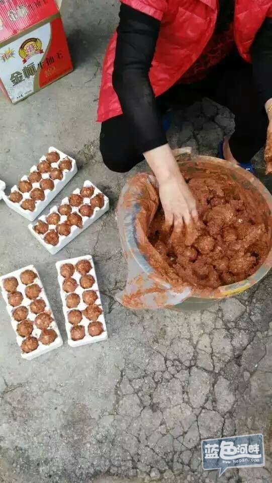 QQ图片20160421163609.jpg