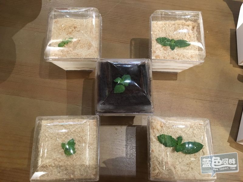 买家秀
