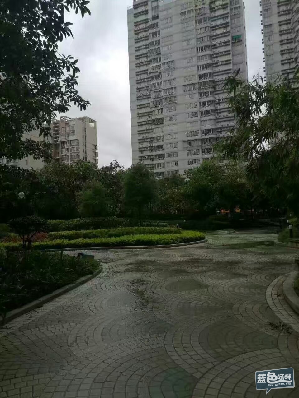 749900920489434486.jpg