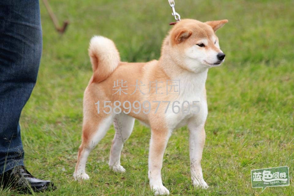 084311fmmjjizwzqfeijpj.jpg