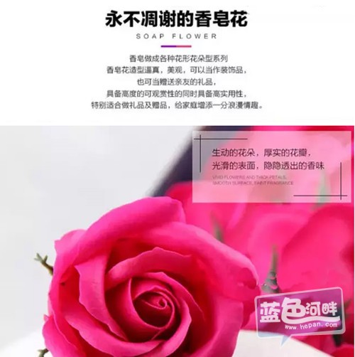 无标题-2.jpg