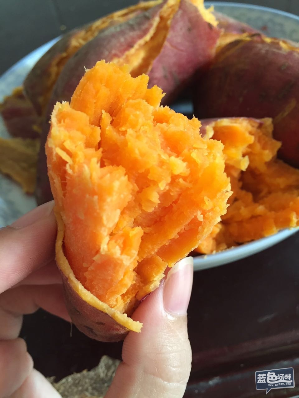 西瓜红1.jpg