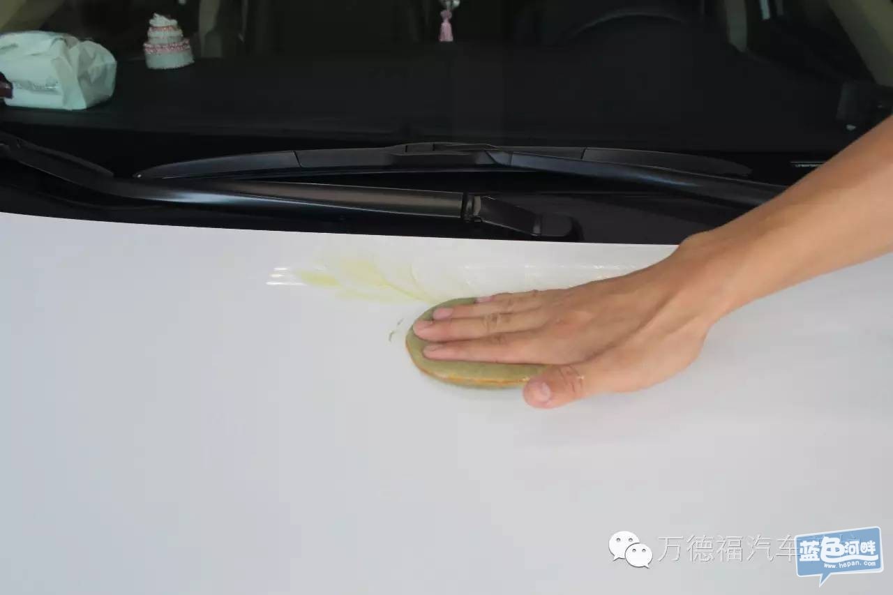 8931e4c2c7628d66e0369d6eda0d43e0.jpg