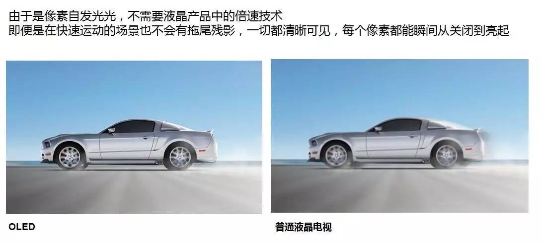 edae06598b82627c99354c2aab2a7e58.jpg