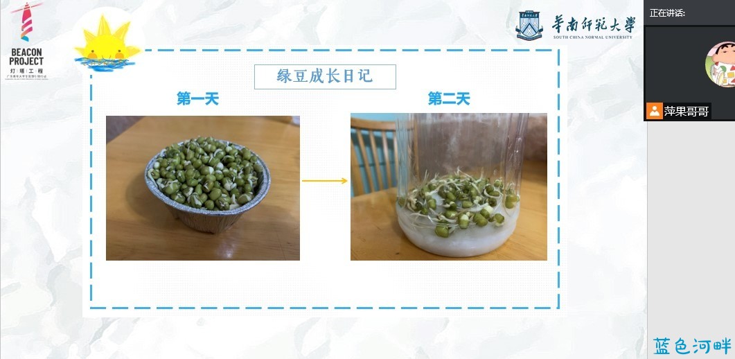 图四 课程中的“种豆实验”.jpg