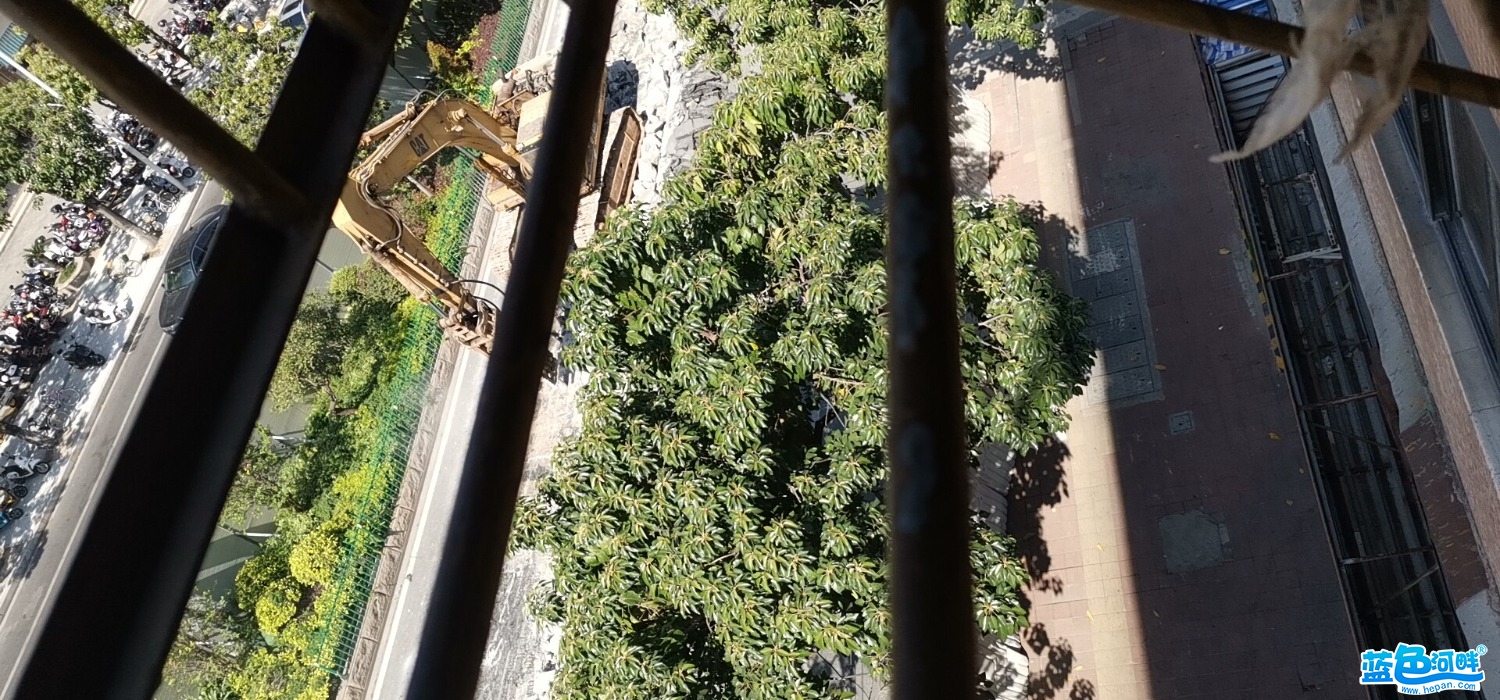 wx_camera_1635821860760.jpg