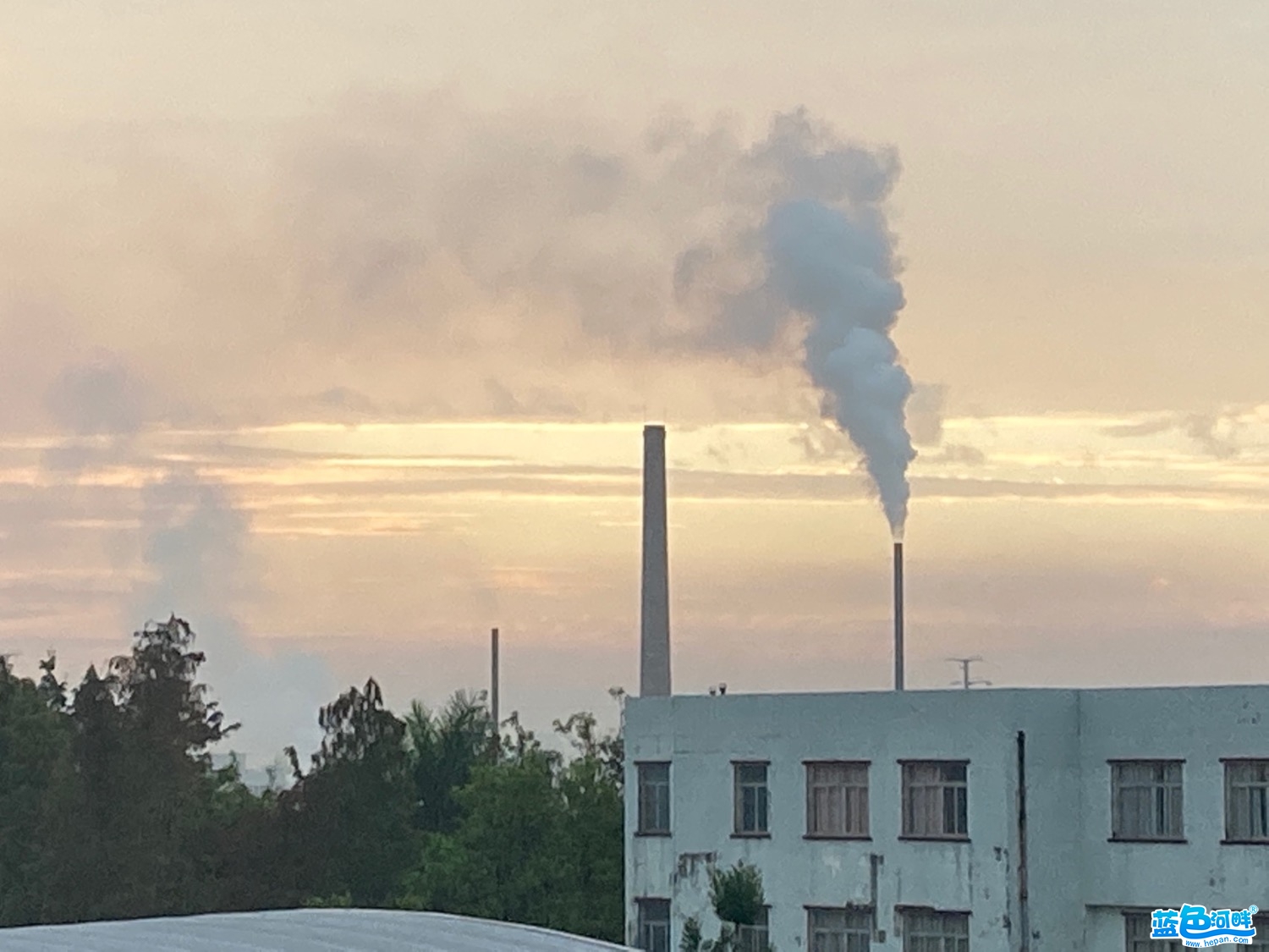 E67411C6-AAAE-4D90-8953-2F9AF0063314.jpeg