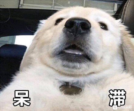XbbGtmgHMmM0nnIM.jpg