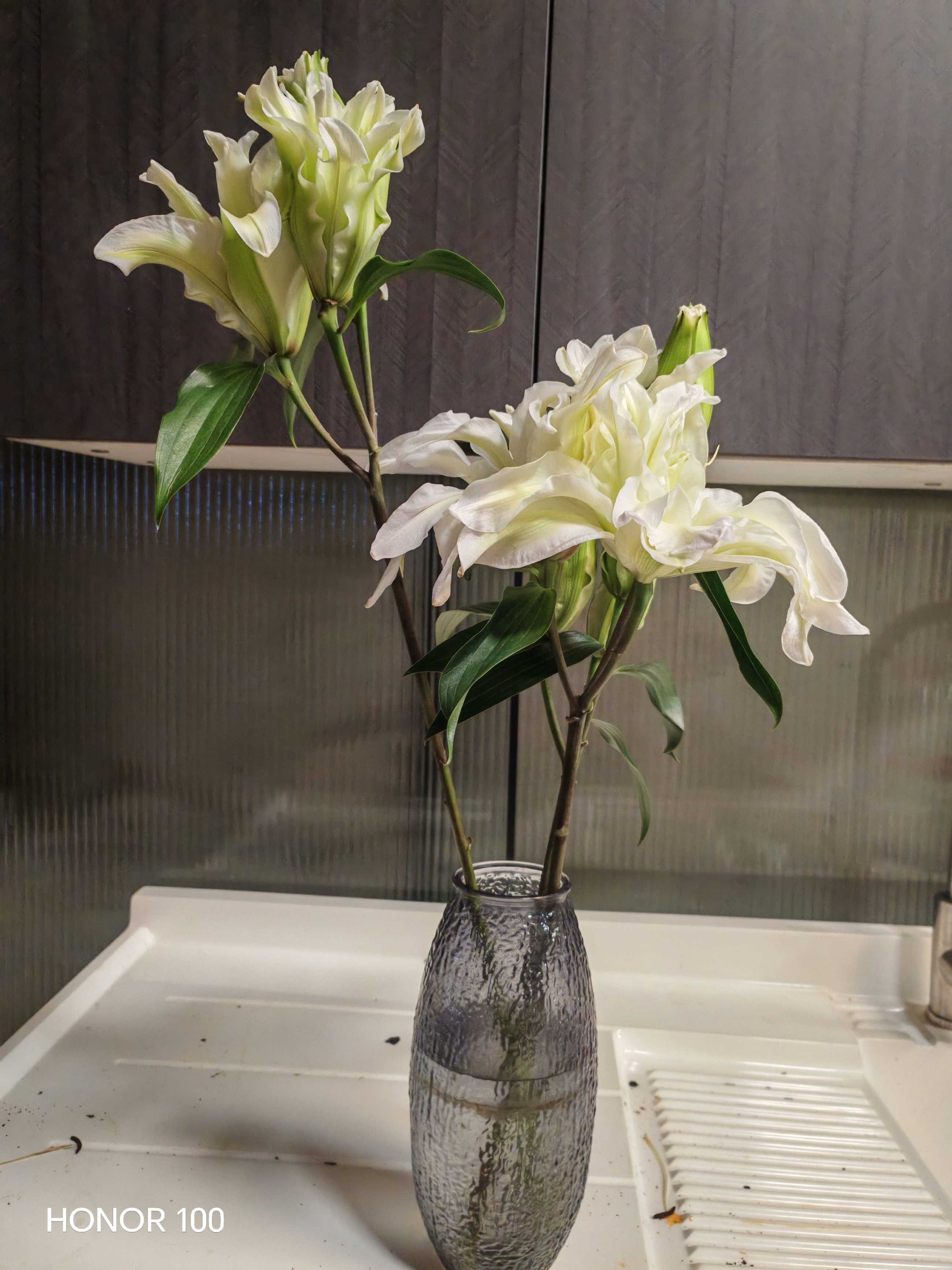 明经苑5楼