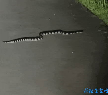 093820ewqvvicpwq45in3p.gif