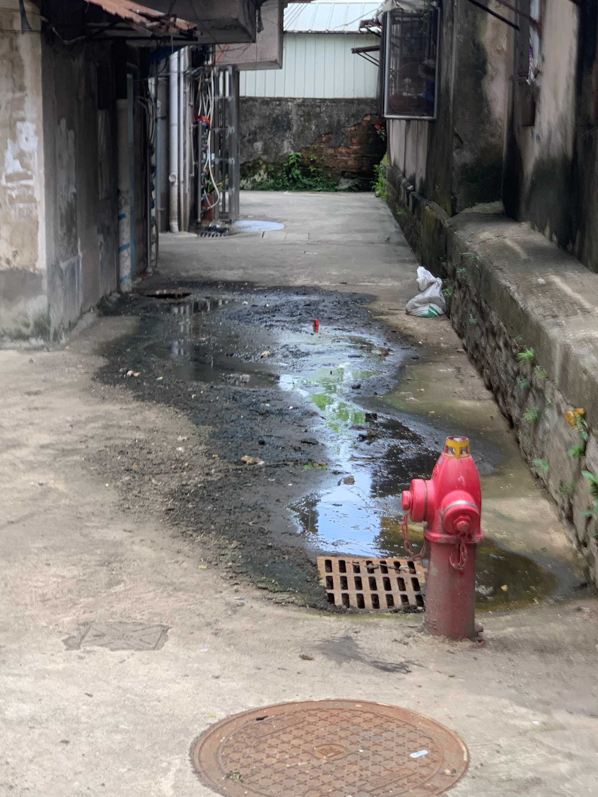 污水横流 蚊虫滋生