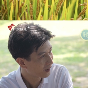 汕头市委温书记话振兴